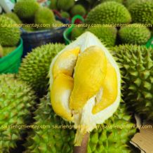 Sầu riêng ri 6 miền tây