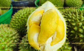 Sầu riêng ri 6 là gì..?