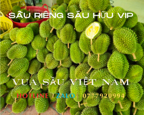 Sầu Riêng Sáu Hữu Miền Tây