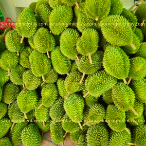 Sầu riêng sáu hũu mới cắt