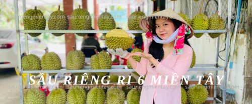 Sầu riêng ri 6 miền tây